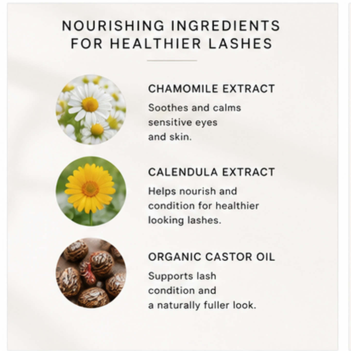 Eyelash Extension Shampoo + Brush Foaming Lash Wash infused with Organic Chamomile & Calendula, powered by Organic Castor Oil 2oz